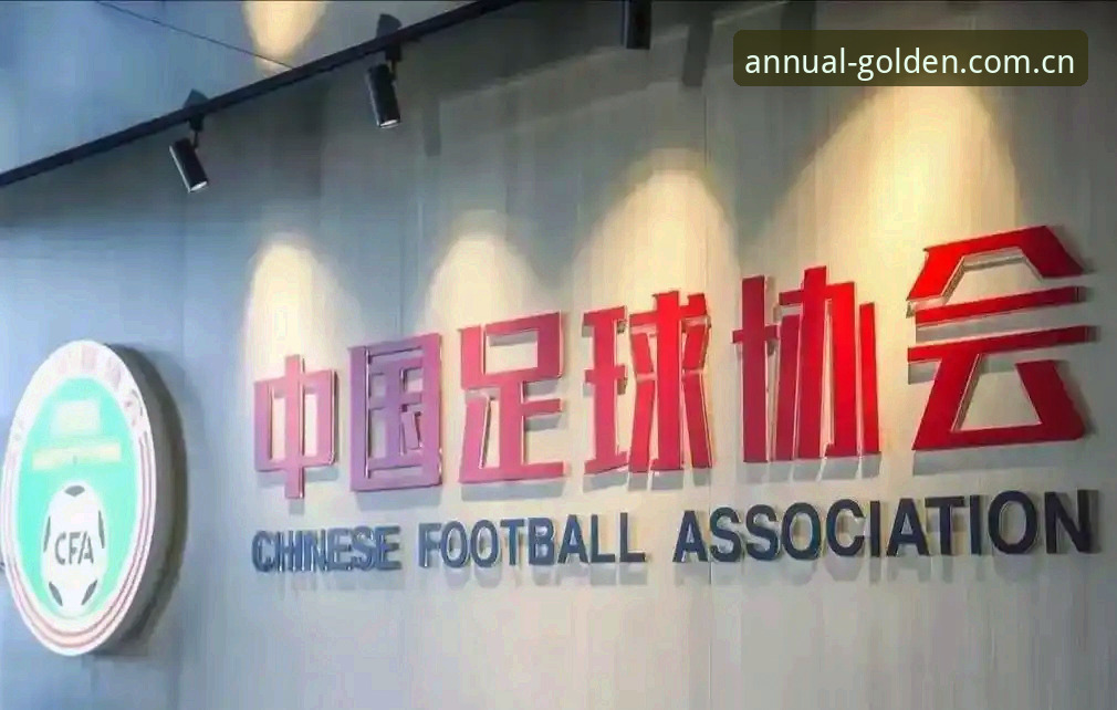 足协第三批禁足名单深度解析——金年会体育平台全面解读